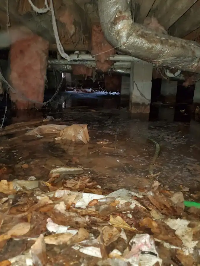 Crawl space flood assessment for Commercial Water Damage Restoration in Tipton