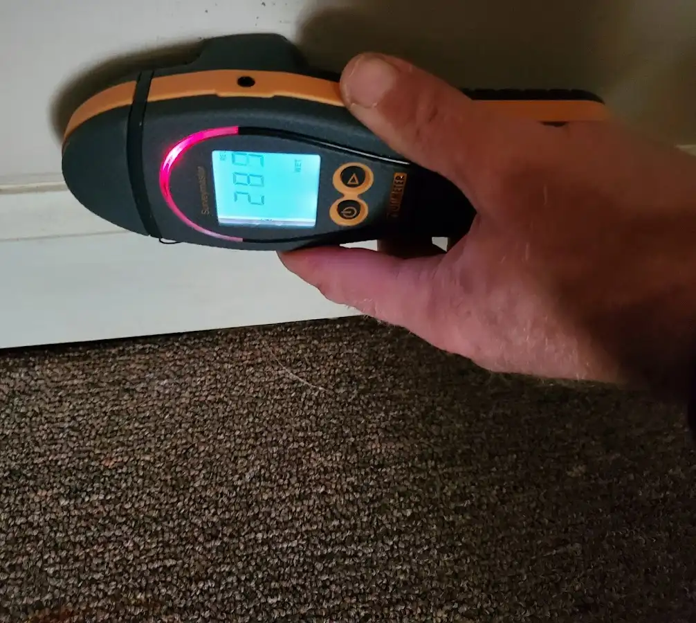 Moisture detection at baseboard during Mold Inspection & Testing in Tipton